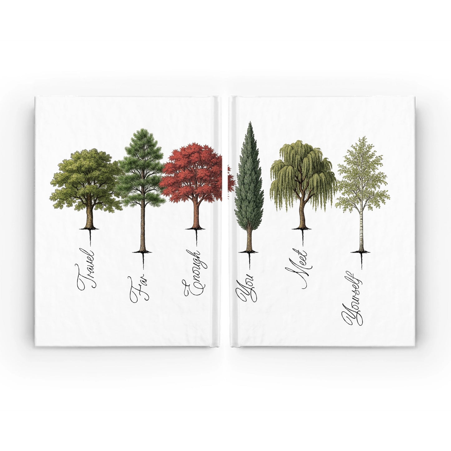 Exploration Notebook